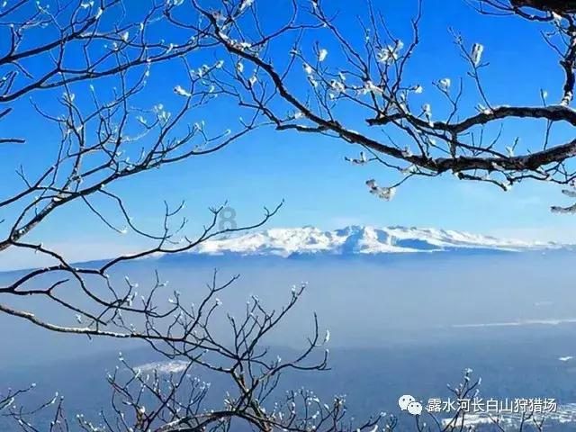 家里有宝宝降临的时候,你家的狗狗会和宝宝相互陪伴